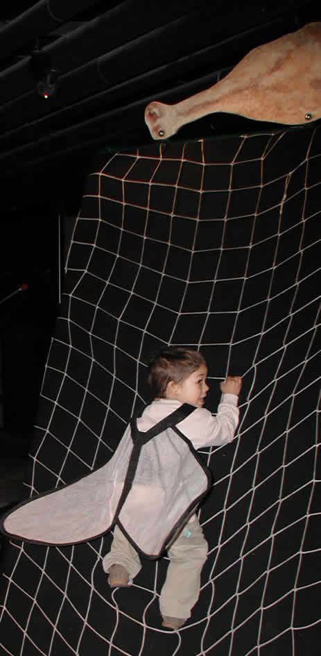2004